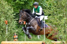 wiesbaden-2015_cic3-181