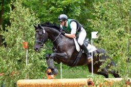 wiesbaden-2015_cic3-185