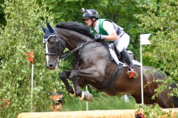wiesbaden-2015_cic3-193