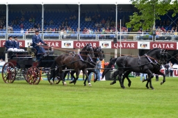 wiesbaden-2015_cic3-209