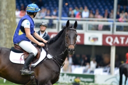 wiesbaden-2015_cic3-211