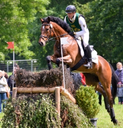 cic3_wiesbaden-2016-124