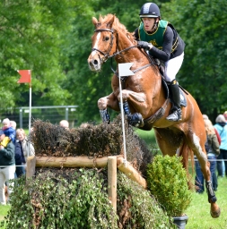 cic3_wiesbaden-2016-148