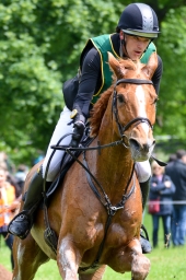 cic3_wiesbaden-2016-150