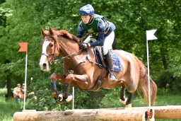 cic3_wiesbaden-2016-153