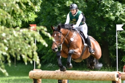 cic3_wiesbaden-2016-189