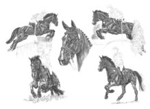 Onfire & Felix Vogg, 50 x 70 cm